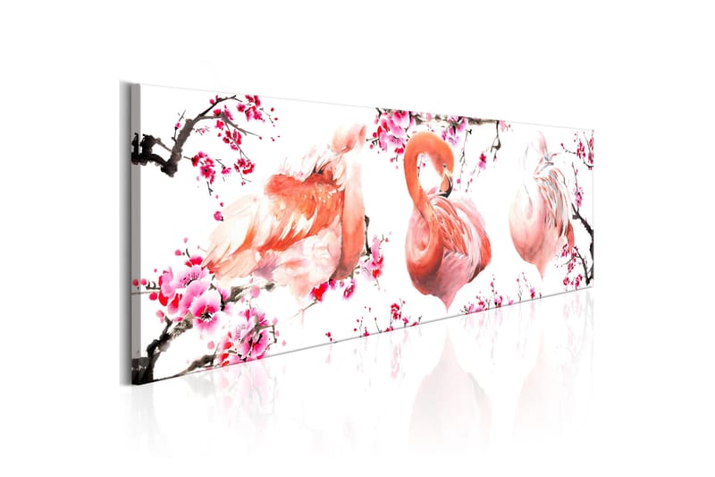 Tavla Beauty Of Birds 150x50, Artgeist sp. z o. o.