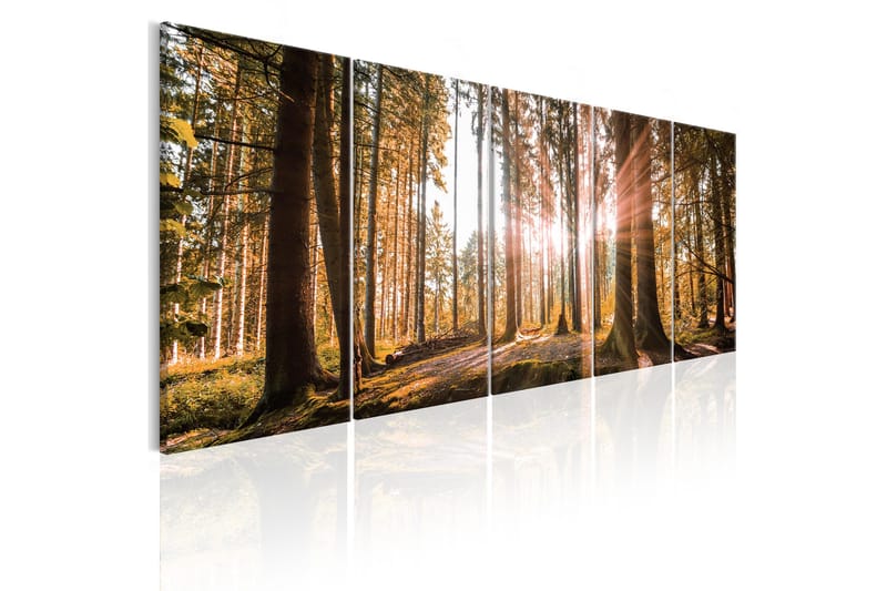 Tavla Beauty Of Nature 225x90, Artgeist sp. z o. o.