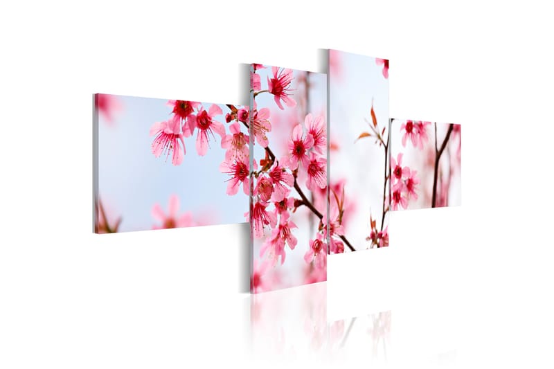 Tavla Beauty Of The Cherry Flowers 200x90 - Artgeist sp. z o. o. - Canvastavlor
