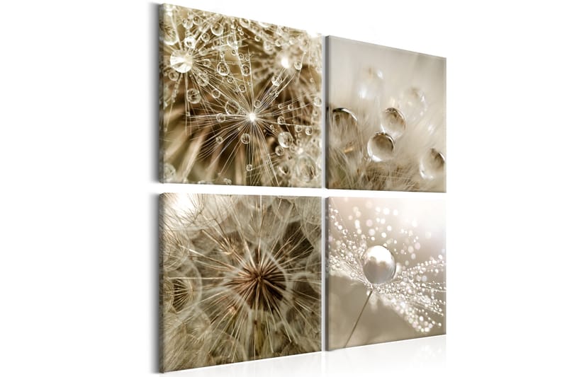 Tavla Beige Summer 40x40 - Artgeist sp. z o. o. - Inredning - Tavlor & konst - Canvastavlor