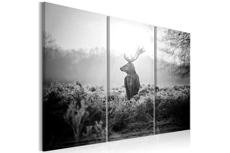 Tavla Black And White Deer 90x60 - Artgeist sp. z o. o. - Canvastavlor