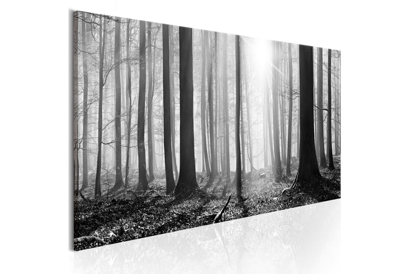 Tavla Black and White Forest 120x40, Artgeist sp. z o. o.