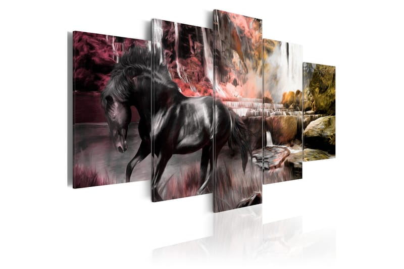 Tavla Black Horse On Crimson Sky Background 100x50 - Artgeist sp. z o. o. - Canvastavlor