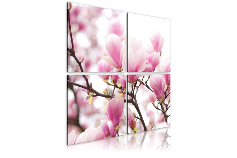 Tavla Blommande Magnolia Träd 40x40, Artgeist sp. z o. o.