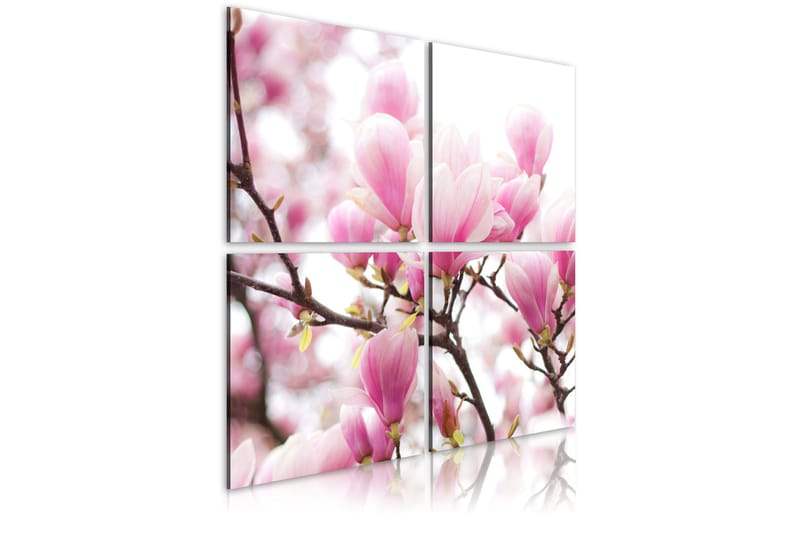 Tavla Blommande Magnolia Träd 40x40 - Artgeist sp. z o. o. - Inredning - Tavlor & konst - Canvastavlor