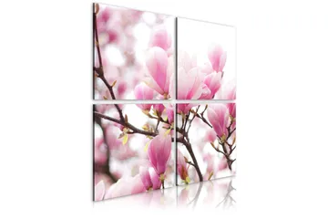 Tavla Blommande Magnolia Träd 80x80 - Artgeist sp. z o. o. - Inredning - Tavlor & konst - Canvastavlor