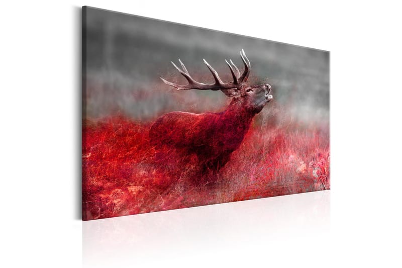 Tavla Bloody Field 120x80 - Artgeist sp. z o. o. - Inredning - Tavlor & konst - Canvastavlor