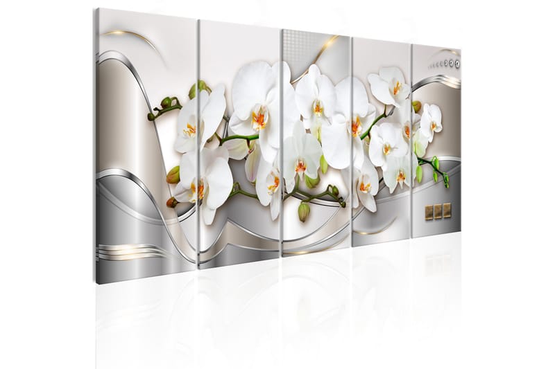 Tavla Blooming Orchids 200x80 - Artgeist sp. z o. o. - Canvastavlor