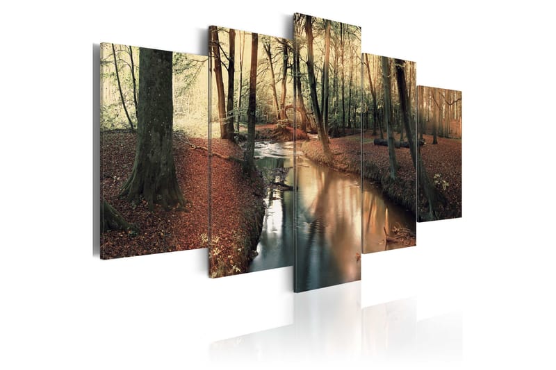 Tavla Brown Autumn Forest 200x100 - Artgeist sp. z o. o. - Canvastavlor