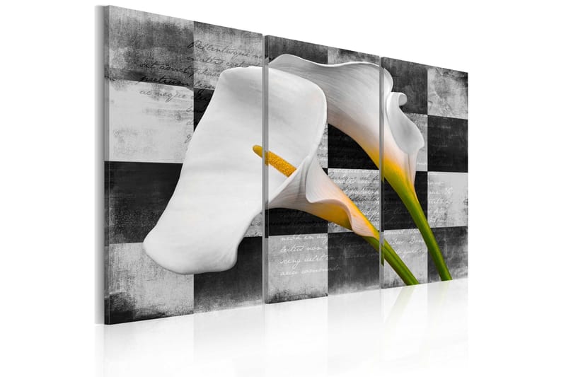 Tavla Callas Vintage 60x40, Artgeist sp. z o. o.