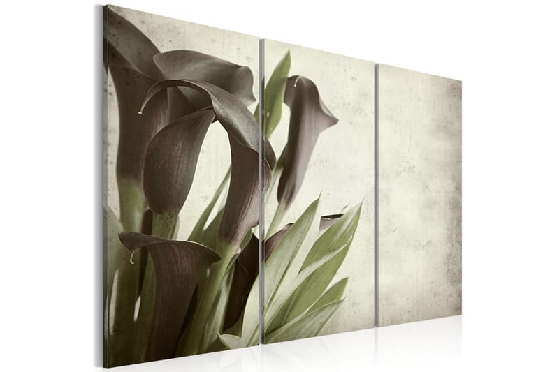 Tavla Callas Vintage 60x40, Artgeist sp. z o. o.