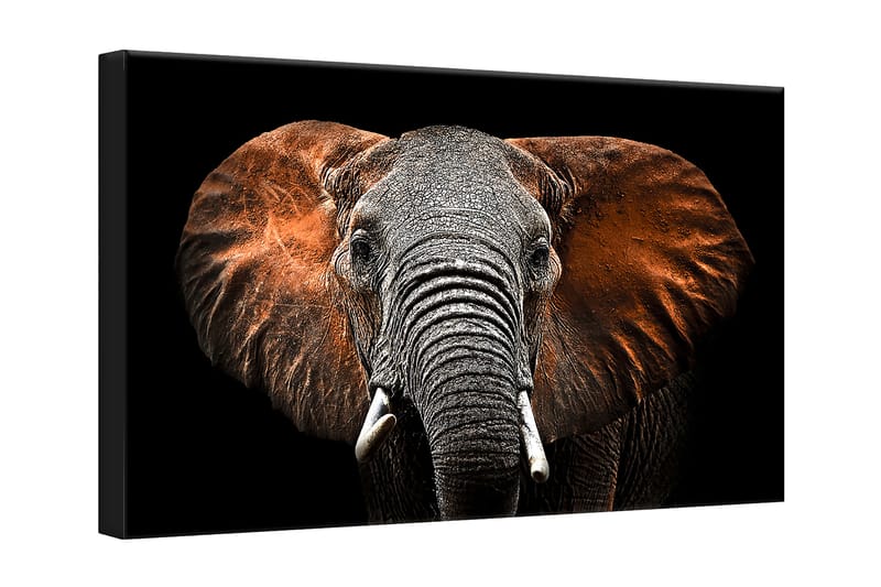 Tavla Canvas Silver Red Elephant - 75x100 cm - Canvastavlor