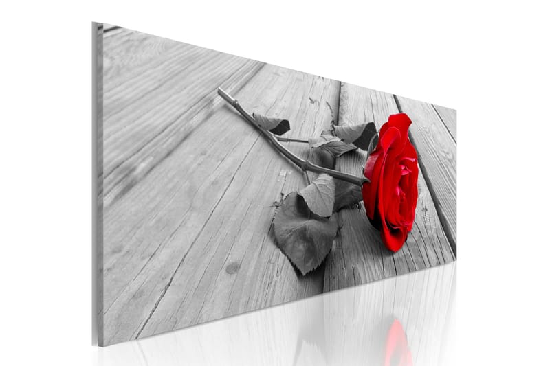 Tavla Carmine Rose 120x40, Artgeist sp. z o. o.