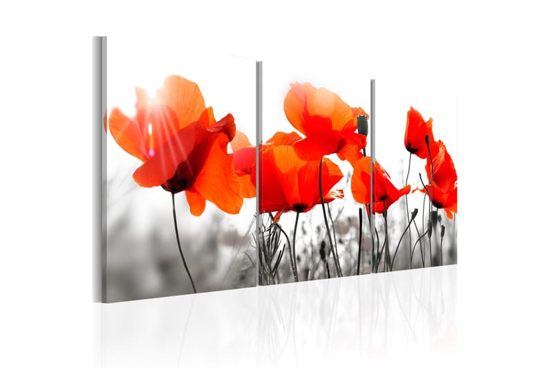 Tavla Charming Poppies 60x30, Artgeist sp. z o. o.