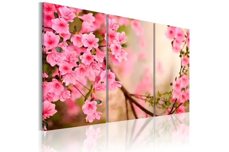Tavla Cherry flower 90x60, Artgeist sp. z o. o.