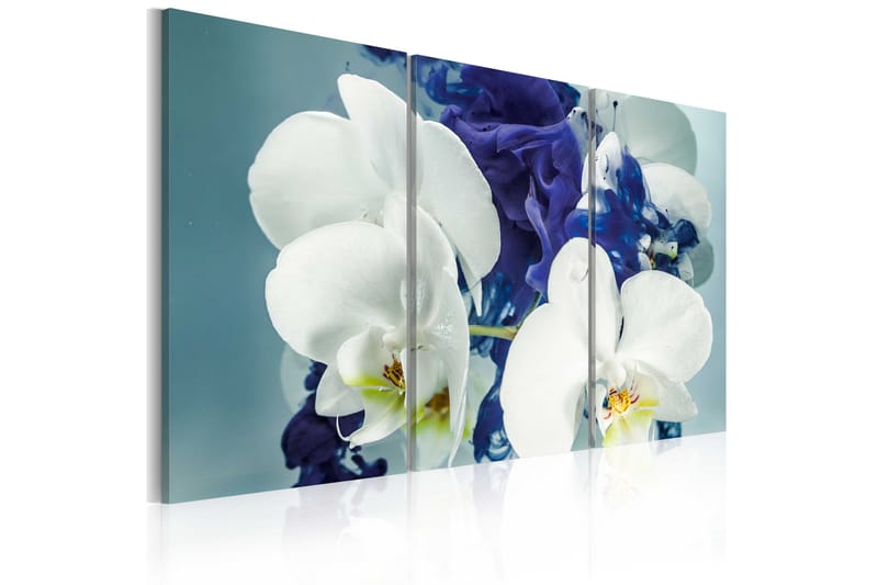 Tavla Chimär Orkidéer 120x80 - Artgeist sp. z o. o. - Inredning - Tavlor & konst - Canvastavlor