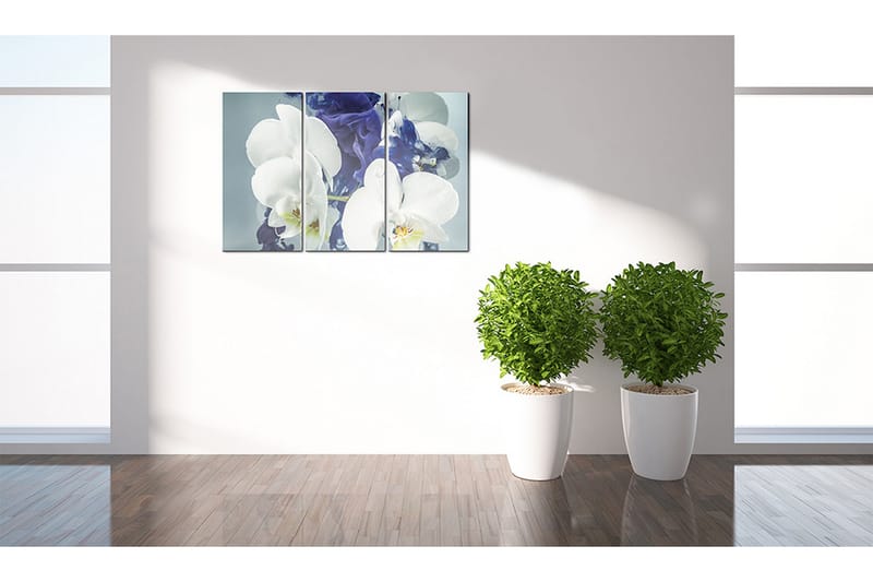 Tavla Chimär Orkidéer 120x80 - Artgeist sp. z o. o. - Inredning - Tavlor & konst - Canvastavlor