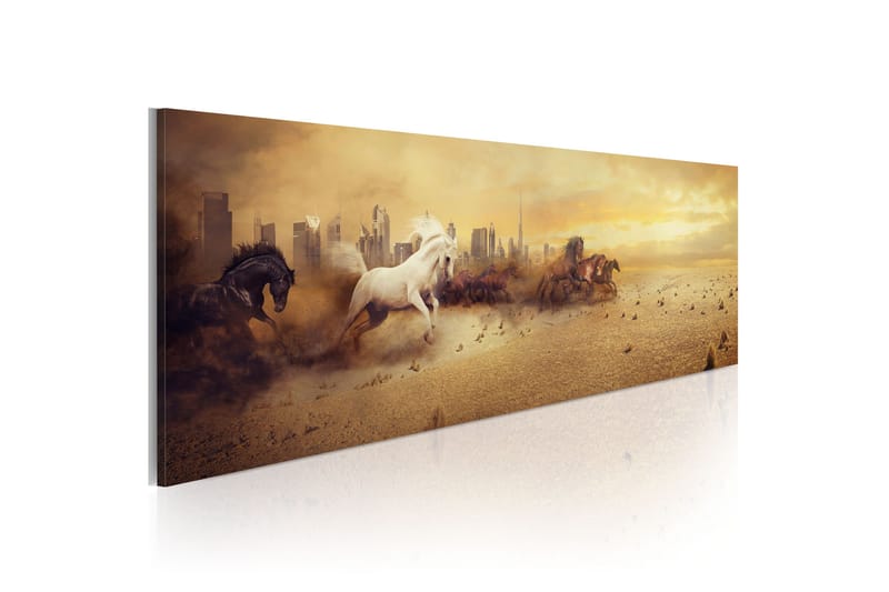 Tavla City Of Stallions 120x40, Artgeist sp. z o. o.