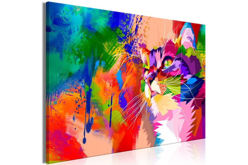 Tavla Colourful Cat (1 Part) Wide 90x60 - Artgeist sp. z o. o. - Inredning - Tavlor & konst - Canvastavlor
