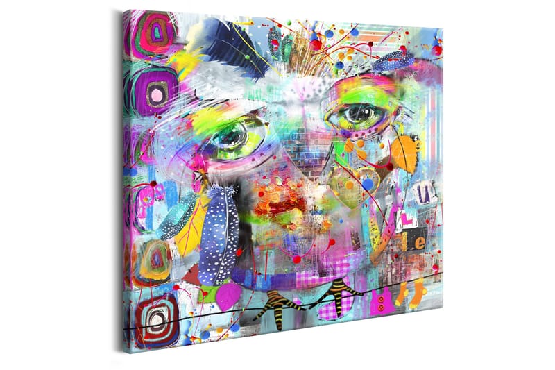 Tavla Colourful Owl 40x40 - Artgeist sp. z o. o. - Inredning - Tavlor & konst - Canvastavlor