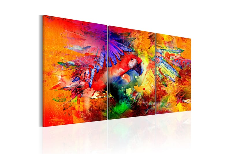Tavla Colourful Parrot 60x30 - Artgeist sp. z o. o. - Inredning - Tavlor & konst - Canvastavlor