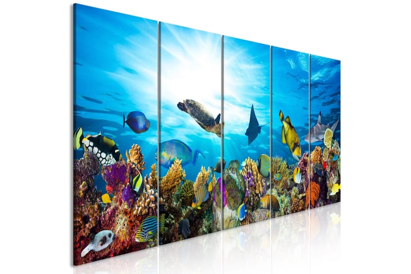 Tavla Coral Reef (5 Parts) Narrow 225x90 - Artgeist sp. z o. o. - Inredning - Tavlor & konst - Canvastavlor