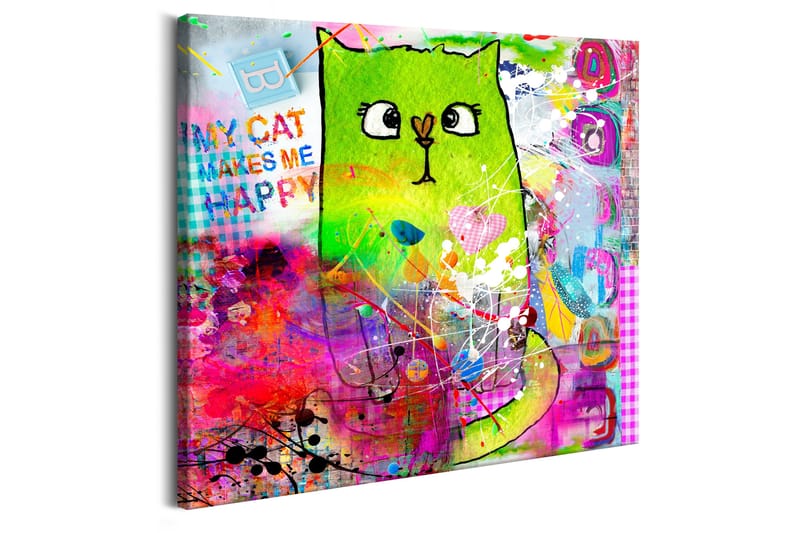 Tavla Crazy Cat 40x40 - Artgeist sp. z o. o. - Inredning - Tavlor & konst - Canvastavlor
