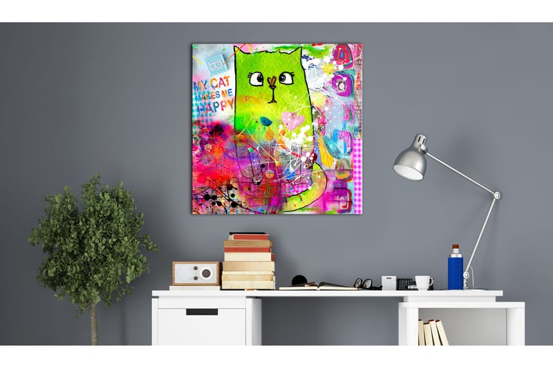 Tavla Crazy Cat 40x40 - Artgeist sp. z o. o. - Inredning - Tavlor & konst - Canvastavlor