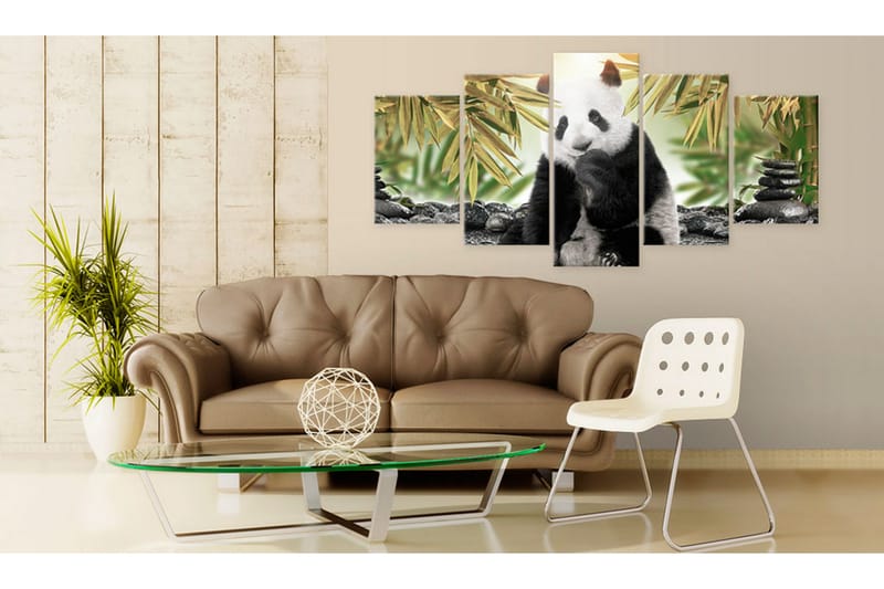 Tavla Cute Panda Bear 100x50 - Artgeist sp. z o. o. - Inredning - Tavlor & konst - Canvastavlor