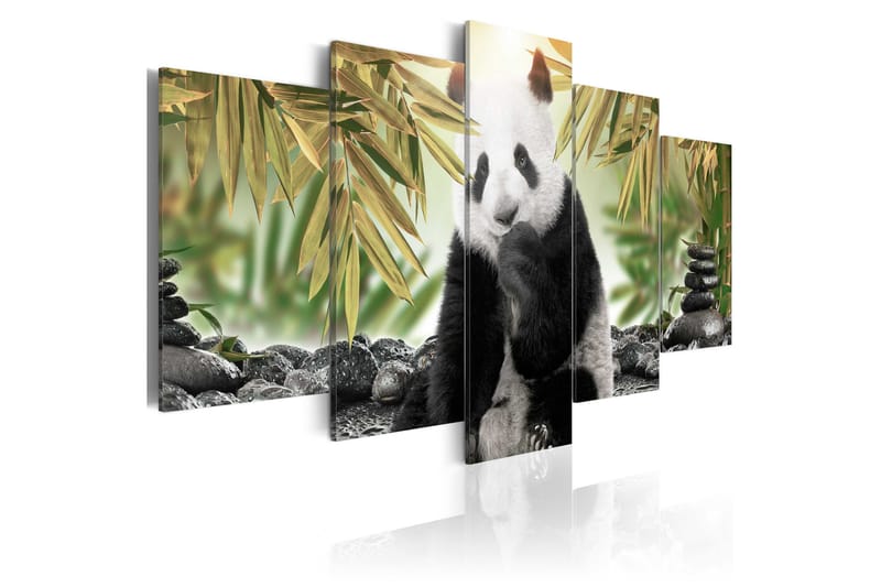 Tavla Cute Panda Bear 100x50 - Artgeist sp. z o. o. - Inredning - Tavlor & konst - Canvastavlor