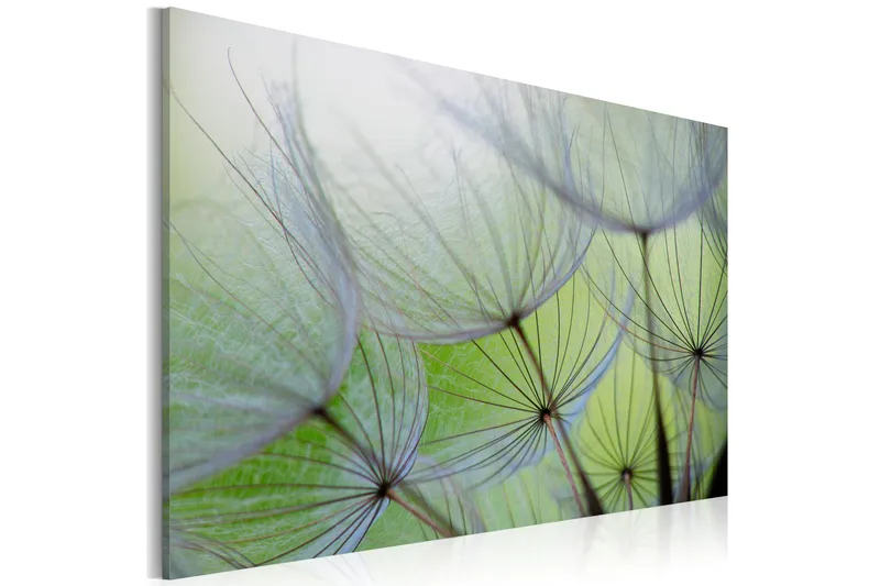 Tavla Dandelion In The Wind 60x40, Artgeist sp. z o. o.