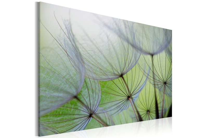 Tavla Dandelion In The Wind 90x60, Artgeist sp. z o. o.