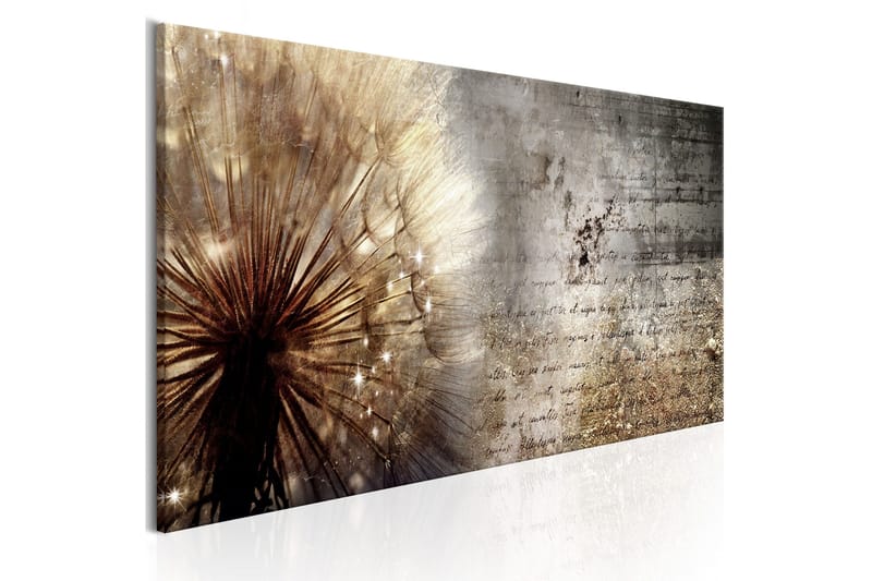 Tavla Dandelion On Concrete 150x50, Artgeist sp. z o. o.