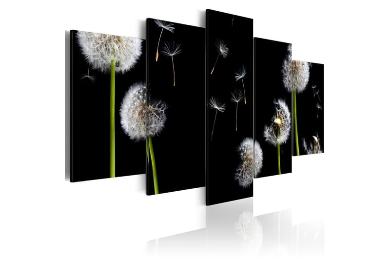 Tavla Dandelion- Towards Freedom 200x100, Artgeist sp. z o. o.