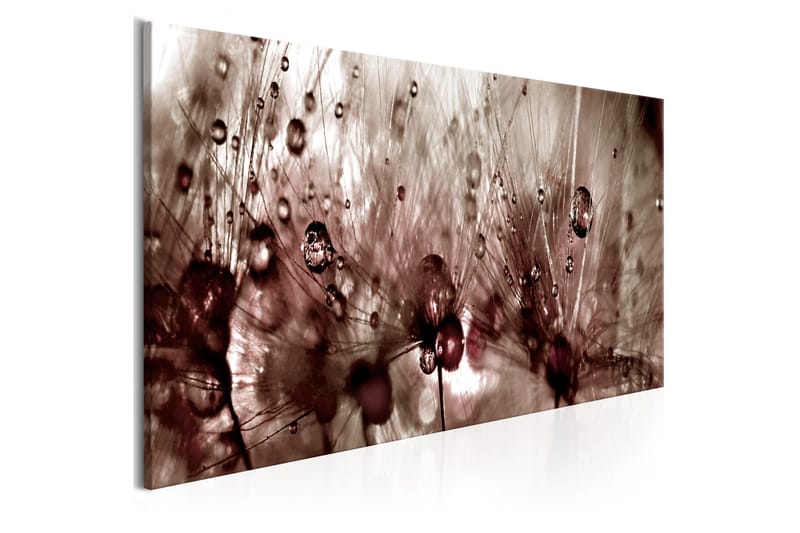 Tavla Dandelions After Rain 150x50, Artgeist sp. z o. o.