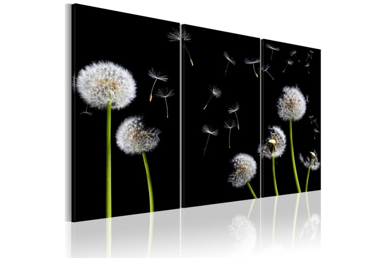 Tavla Dandelions Family 60x40 - Artgeist sp. z o. o. - Inredning - Tavlor & konst - Canvastavlor