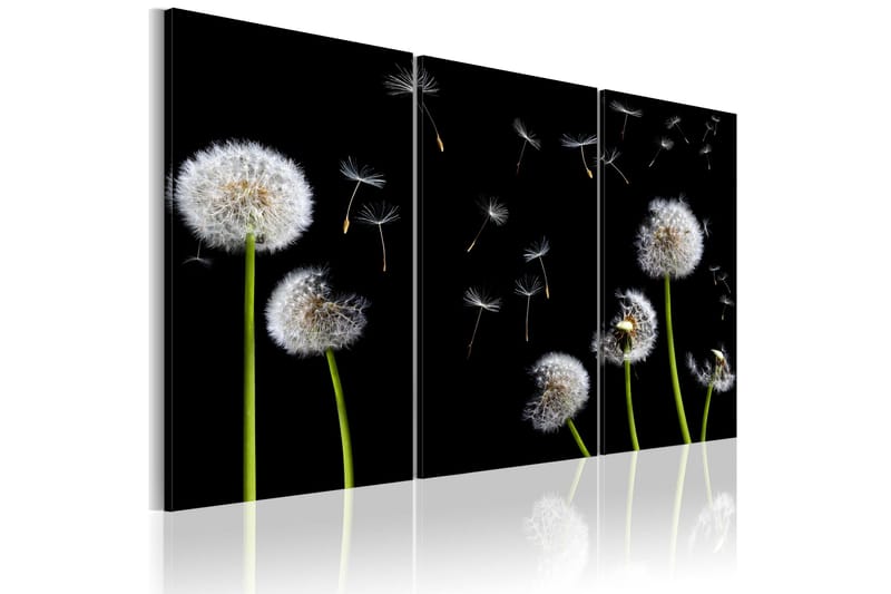 Tavla Dandelions Family 60x40, Artgeist sp. z o. o.