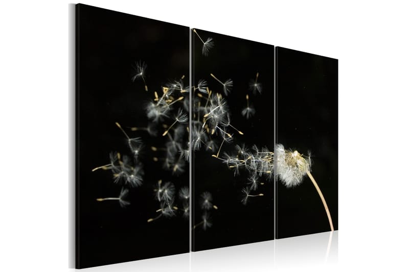 Tavla Dandelions- The Transience 120x80, Artgeist sp. z o. o.