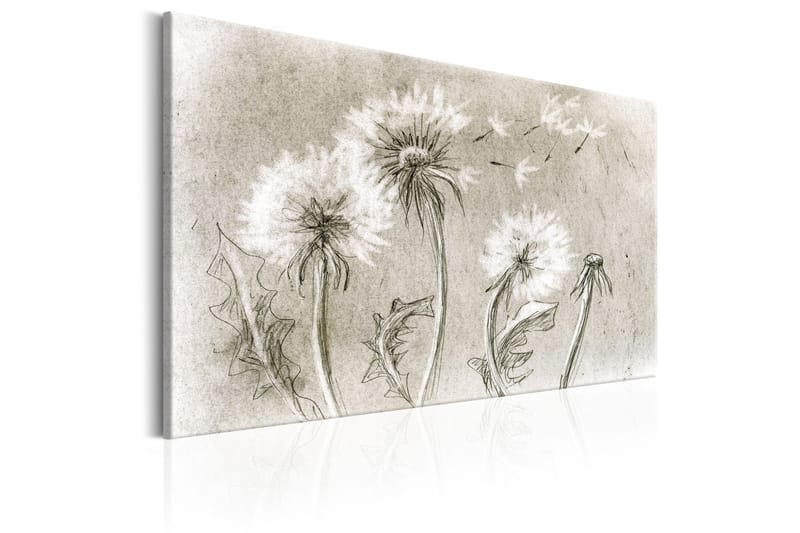 Tavla Dandelions (Pencil Artwork) 90x60 - Artgeist sp. z o. o. - Inredning - Tavlor & konst - Canvastavlor