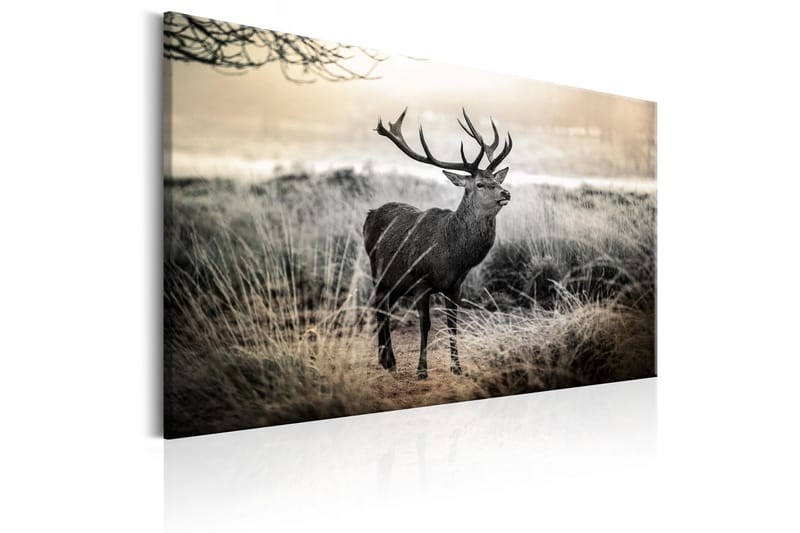 Tavla Dangerous Horns 120x80 - Artgeist sp. z o. o. - Inredning - Tavlor & konst - Canvastavlor