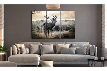 Tavla Dangerous Horns 120x80 - Artgeist sp. z o. o. - Inredning - Tavlor & konst - Canvastavlor