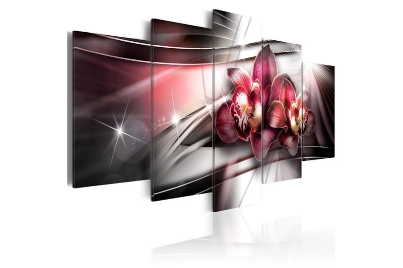 Tavla Dark Beauty 200x100 - Artgeist sp. z o. o. - Inredning - Tavlor & konst - Canvastavlor