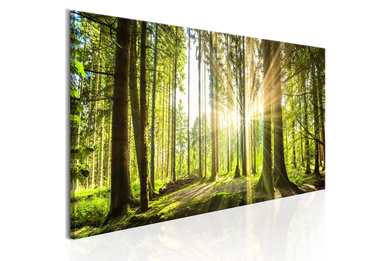 Tavla Daylight 120x40, Artgeist sp. z o. o.