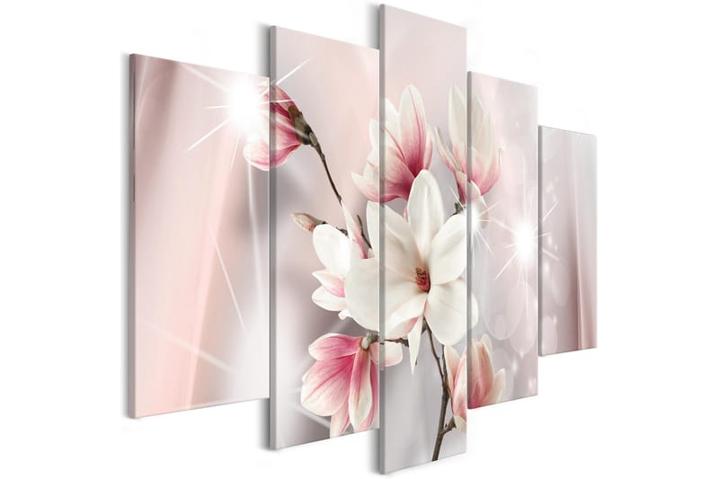 Tavla Dazzling Magnolias 5 Parts Wide 200x100, Artgeist sp. z o. o.