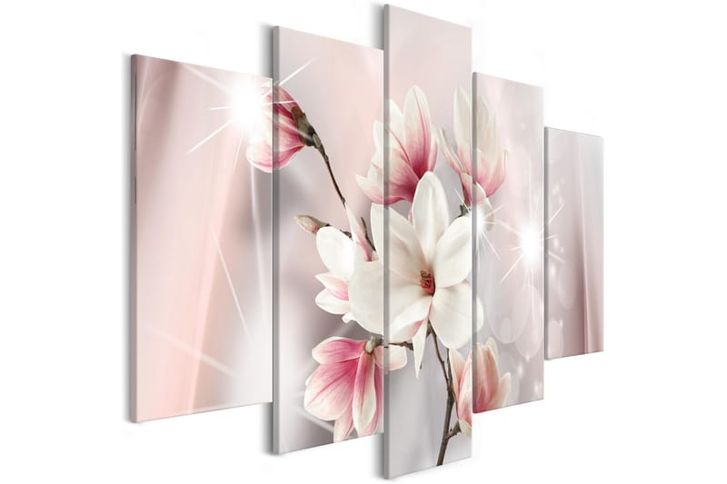 Tavla Dazzling Magnolias 5 Parts Wide 100x50 - Artgeist sp. z o. o. - Canvastavlor