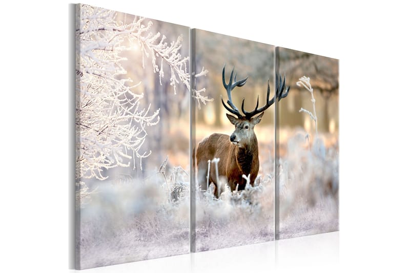 Tavla Deer In The Cold 120x80, Artgeist sp. z o. o.