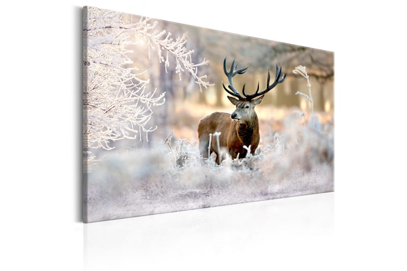 Tavla Deer In The Cold 120x80 - Artgeist sp. z o. o. - Canvastavlor