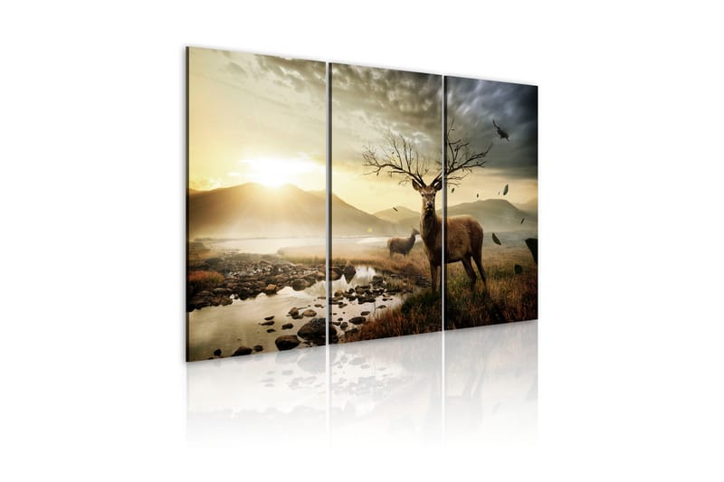 Tavla Deer With A Tree-Like Antlers 60x40, Artgeist sp. z o. o.