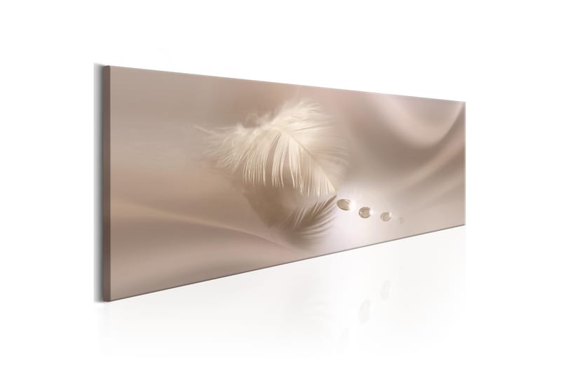 Tavla Delicate Feather 135x45 - Artgeist sp. z o. o. - Inredning - Tavlor & konst - Canvastavlor