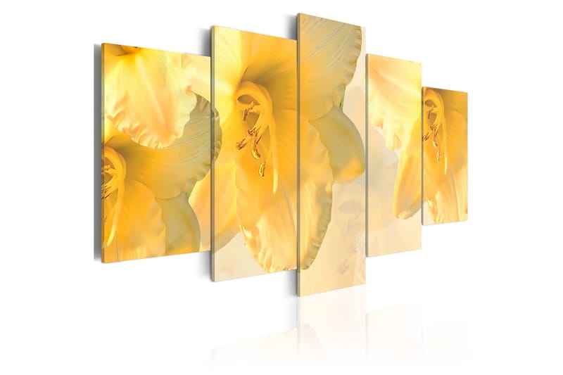 Tavla Dream Lilies 100x50, Artgeist sp. z o. o.